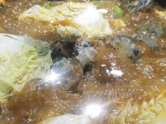 -鸽子刘铁锅炖鱼(劲松店)