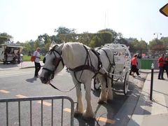 -花神咖啡馆