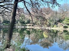 -灵谷景区