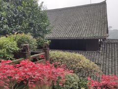 -峨眉山报国寺