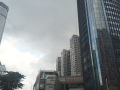 -华强电子世界(深圳二店)