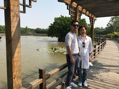 -大湾区中央湿地公园