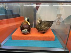 -浙江自然博物院(杭州馆)