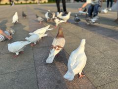 -喜家德虾仁水饺(开发区万达店)