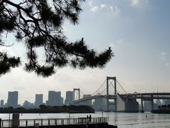 -台场海滨公园船码头