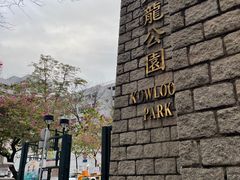 -九龙公园