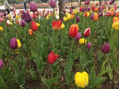 -长春公园(普阳街道)