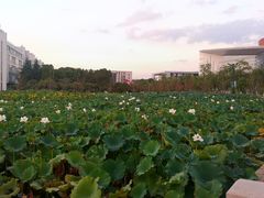-南京医科大学(江宁校区)