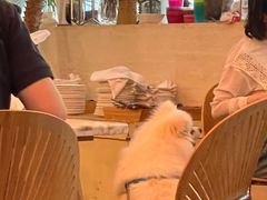 -the rug 飞毯 (朝阳公园店)