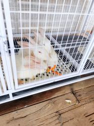 -小蜜蜂农场(凯德七宝购物广场店)