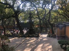 -普陀山风景名胜区-法雨禅寺