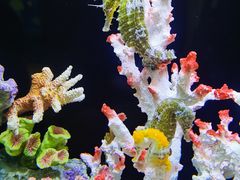 -欢乐海岸海洋奇梦馆