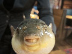 -永安鱼庄·镇江菜(丁卯店)