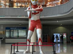 -上海跨国采购会展中心
