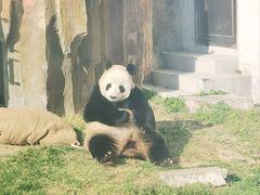 -大连森林动物园