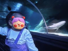 -大连圣亚海洋世界
