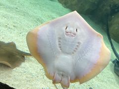 -珠海长隆海洋王国