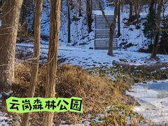 -云岗森林公园