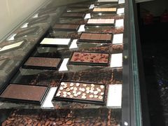 -BLACKSWAN黑天鹅(环球店)