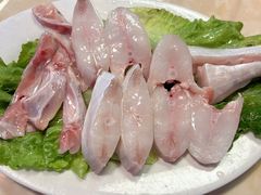 -金砂阿洲鱼册店