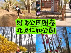 -仁和公园(顺义区)