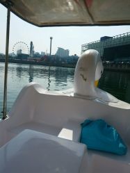 -星海水上乐园(星海广场圣亚店)