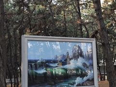 -林海公园