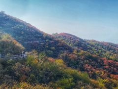 -北京西山国家森林公园