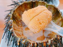 -海胆小馆(东北水饺·春柳店)