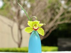 -九里云松·天香餐厅