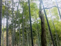 -杭州黄龙洞