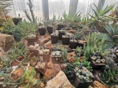 -国家植物园南园