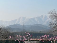 -中国宣纸文化园