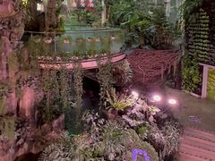 -正佳雨林生态植物园