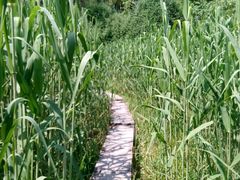 -苏州河梦清园环保主题公园