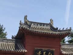 -洛阳白马寺