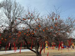 -承德避暑山庄景区