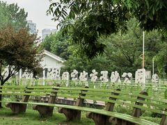 -金银湖国家城市湿地公园