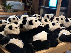 -见山书院