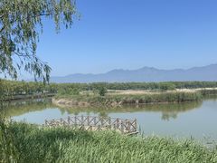 -野鸭湖国家湿地公园