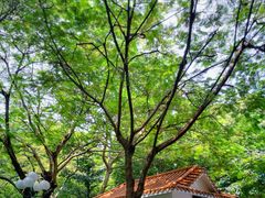 景点-人民公园(罗湖区)