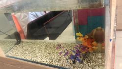 -Cocodemer女性健康·产后恢复(天一广场店)