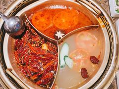 -小龙坎老火锅(北京三里屯店)