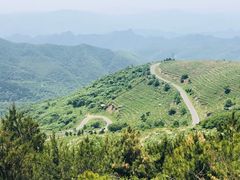 -阳台山自然风景区