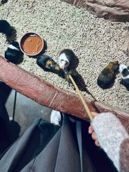 -Zoolung Zoolung动物主题公园(海信广场店)