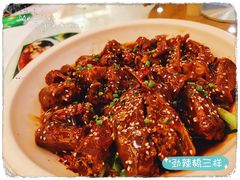 -椿记烧鹅(叠彩店)