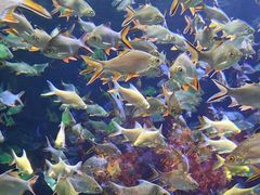 -成都浩海立方海洋公园