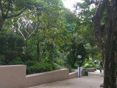 -九龙公园