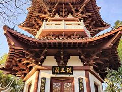 -武汉园博园(武汉自然博物馆)