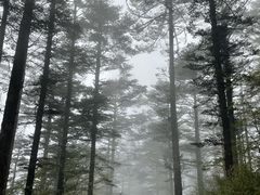 -峨眉山报国寺